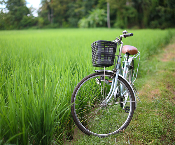 CITY BIKE